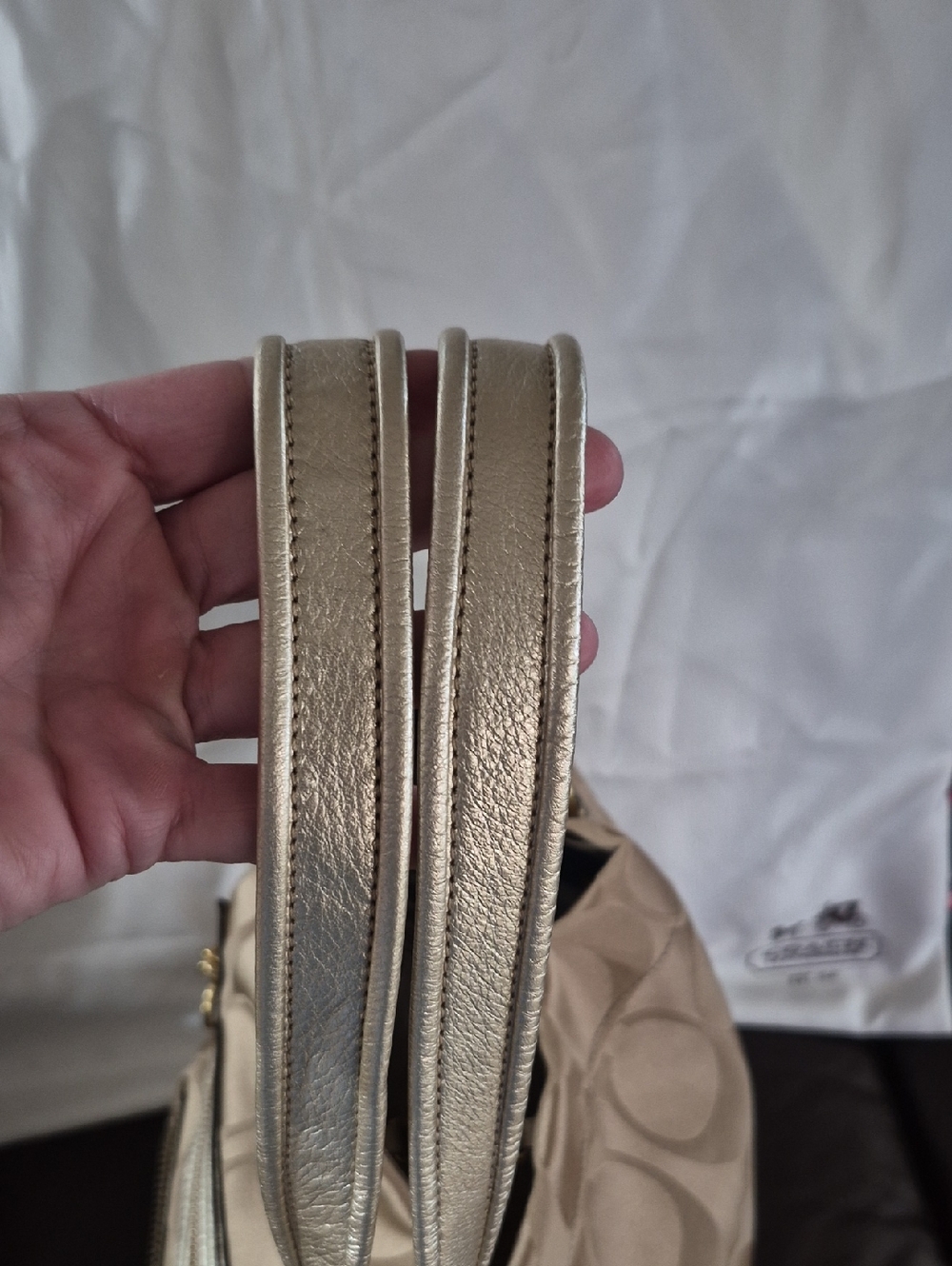 Coach - Picture 10 of 14